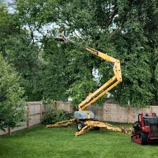 Mulching Services in Nevada, MO